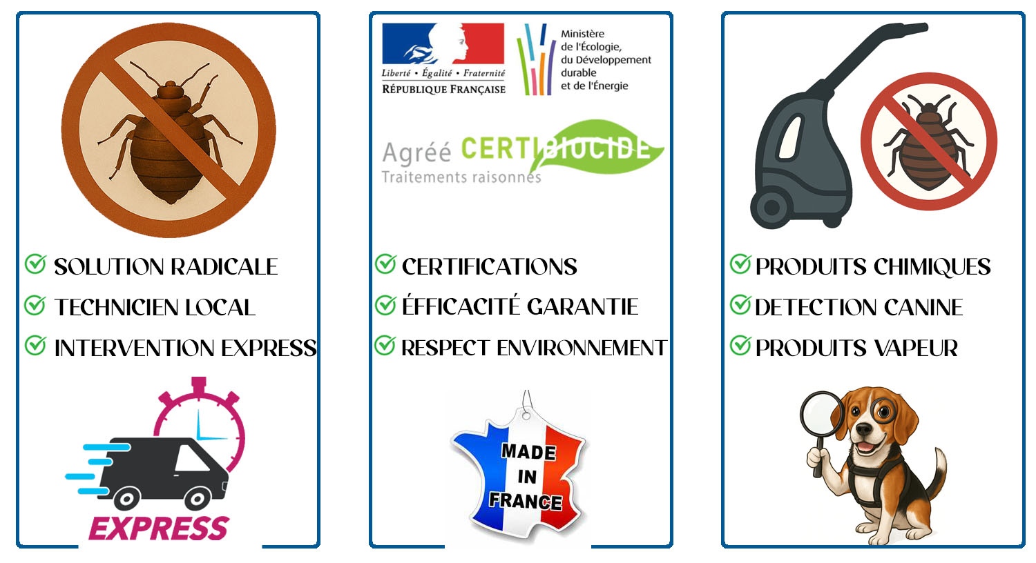 Punaises de Lit Meudon