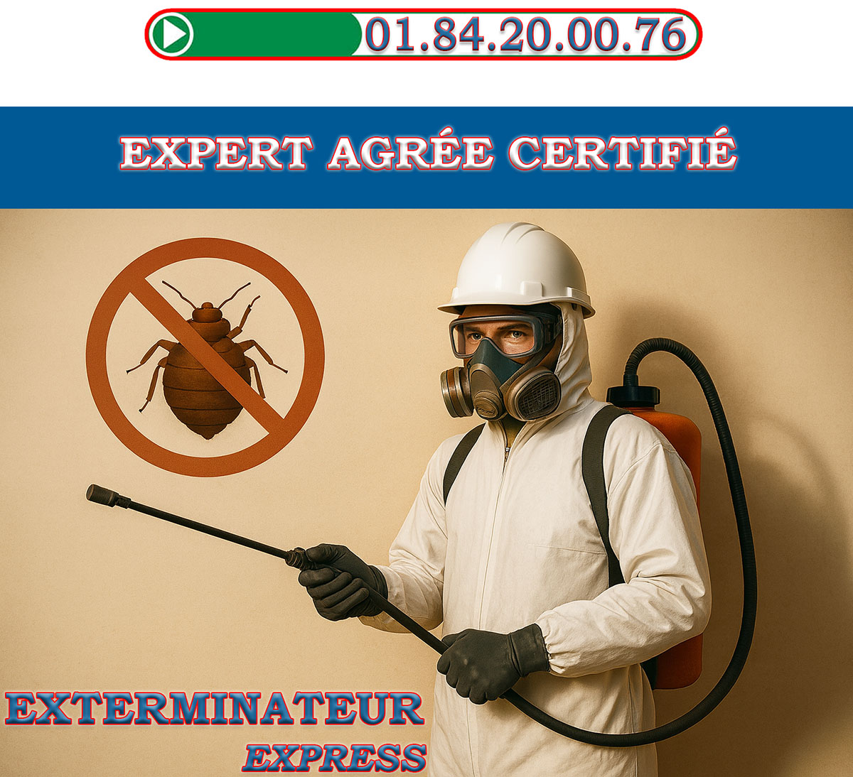 Punaises de Lit Meudon